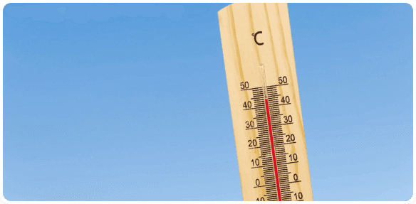 Dbaj o odpowiednią wilgotność i temperaturę powietrza